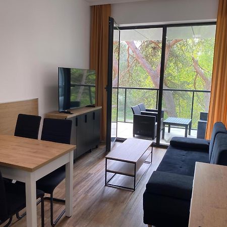 Apartament Dorka Rogowo  Exteriér fotografie